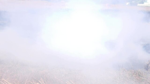 Stubble Burning in India( Parali burning), also known as stubble or straw burning, is the practice of setting fire to crop residue left after harvesting, primarily in agricultural regions of India.