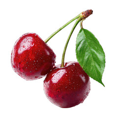 Two ripe cherries on stems with leaves