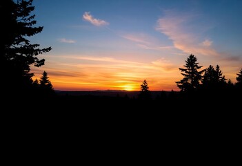 Obraz premium Silhouette of dark forest against a sunset landscape , meadow, horizon
