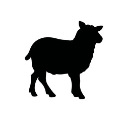 Black and white silhouette of a lamb on white background, Easter symbolism