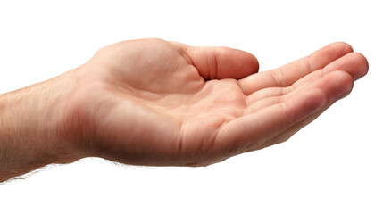 Open Hand with Water Droplets Against a Transparent Background