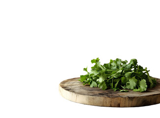 Fresh coriander bunch on a wooden cutting board against a dark background