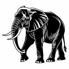 black elephant, isolated on white background perfect outline