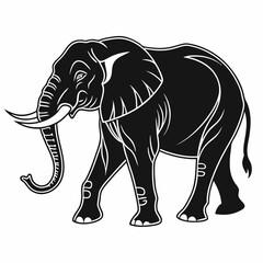 black elephant, isolated on white background perfect outline