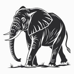 black elephant, isolated on white background perfect outline