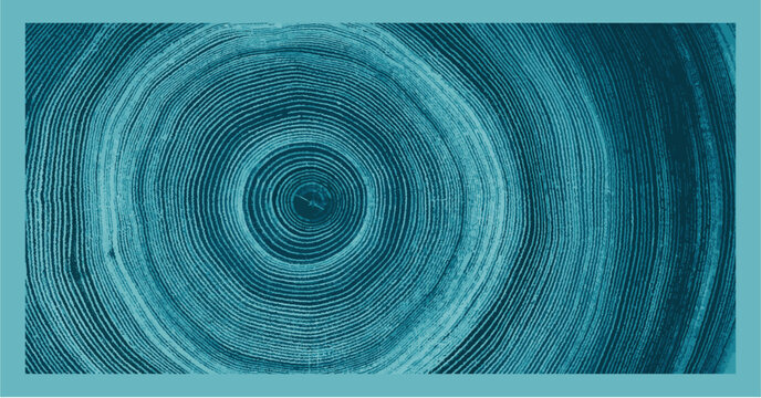 Detailed close-up of a tree ring cross-section, highlighting the intricate growth patterns and the passage of time. Perfect for themes of nature, sustainability, environment.