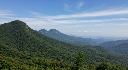Fototapeta premium a view of the mountains and trees from a lookout