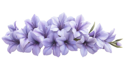 Obraz premium Lavender blooms in a serene garden nature photography floral beauty close-up calmness