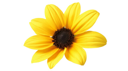 Obraz premium Vibrant yellow sunflower blooming in nature close-up image bright environment captivating viewpoint