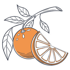 orange on white background