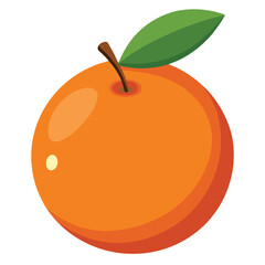  orange on white background
