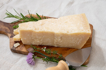 Traditional italian food, 36 months aged in caves Italian parmesan hard cheese from Parmigiano-Reggiano, Italy
