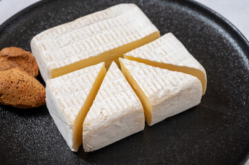 French soft cheeses collection, creamy cow's milk cheese petit pierrot with white mold, France
