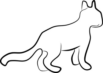 Cat Line Art 