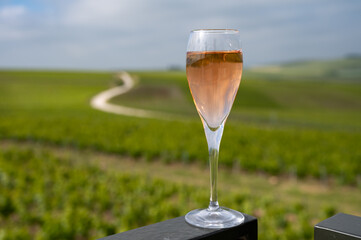 Tasting of rose sparkling wine brut, grand reserve, champagne on vineyards of Ay-Champagne grand...