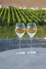Glasses of white sparkling wine brut, grand reserve, champagne on green hilly vineyards in old wine making grand cru Ay-Champagne village in Vallee de la Marne, Champagne, France