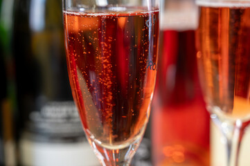 Pouring and tasting of rose or pink cuvee sparkling wine brut, grand reserve, champagne in...
