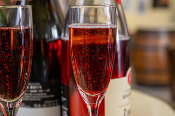 Pouring and tasting of rose or pink cuvee sparkling wine brut, grand reserve, champagne in...