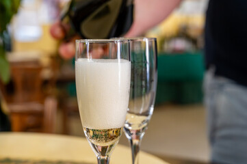 Pouring and tasting of dry sparkling wine brut, grand reserve, champagne in Ay-Champagne wine...