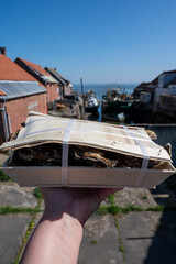 Wooden box of fresh Zeeuwse creuse oysters on farm in Yerseke with living harvested oysters,...