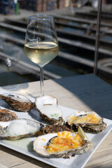 Eating of fresh Zeeuwse creuse oysters on farm in Yerseke with living harvested oysters,...