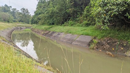 Man -made water channels with concrete edges, flanked by lush green grass and dense tropical trees...