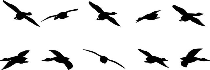 Silhouettes of birds in various flight positions, shown in black on a white background. Perfect for use in design, illustration, or decorative projects requiring flying bird elements.