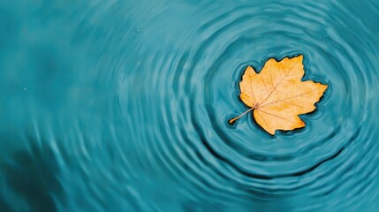 Yellow Maple Leaf Floating on Calm Blue Water Surface with Circular Ripples and Tranquil Reflection Effects