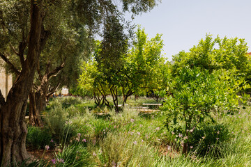 Scenic views of Le Jardin Secret as tourists visit the garden in Marrakech, west Morocco 
