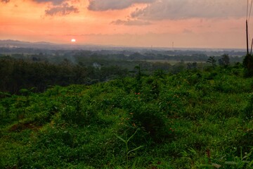 Serene view of a tranquil countryside with vibrant green fields at sunrise. Tranquil atmosphere enhanced by the interplay of colors in the sky, evoking peace and calmness.