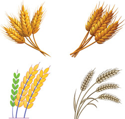 Golden Wheat Ears Vector Illustration &ndash; Farm Harvest Concept. 