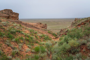Fancy stones on the slopes of the highest point of the Caspian lowland - Bolshoe Bogdo Mountains on...