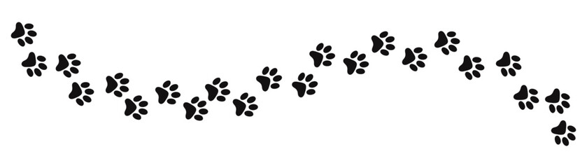 Paw vector foot trail print on white background. vector cat or Dog, path pattern animal tracks, isolated on white background © Vasyl Yurlov