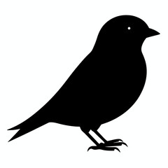 Eastern Bluebird vector black silhouette on white background