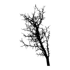Fototapeta premium Black Silhouette Tree Branch Vector