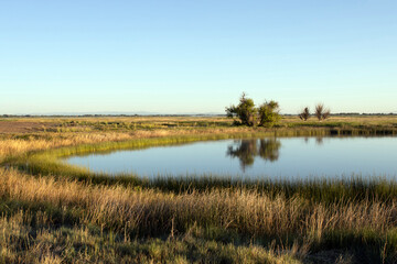 Beautiful marsh and pond in Alamosa National Wildlife Refuge in early-morning light  in southern Colorado