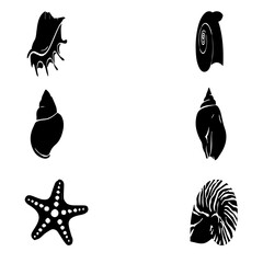 Obraz premium SEA SHELL SET OF 6 EDITABLE VECTOR