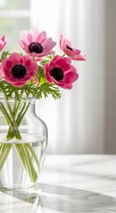Elegant Pink Anemone Flowers in a Glass Vase