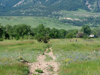 Early summer trail leading to the foothills of Boulder, Colorado