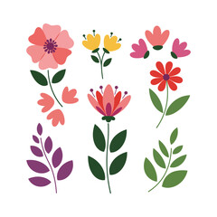 vector illustration of flowers
