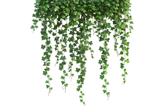 abstract green background with leaves