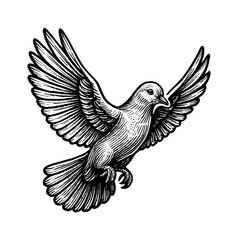 Obraz premium Engraved Illustration of Dove Flying with Open Wings in Black and White