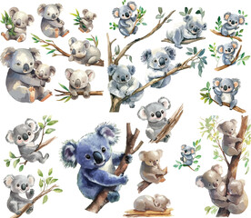 koala watercolor clipart   koala clipart for graphic resources © dian's