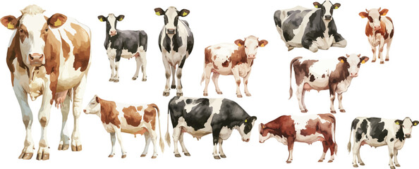 farm cow watercolor clipart | farm cow clipart for graphic resources