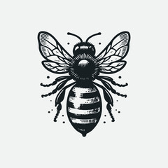 Creative vintage style Honey bee editable vector logo. Hand drawn engraving style bee illustrations.