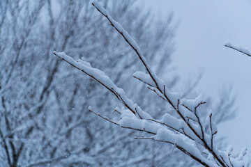250317秋山郷の雪景色