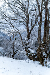 250317秋山郷の雪景色
