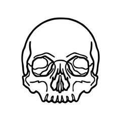 Halloween spooky skull drawing