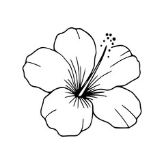 outline drawing of poppy flower