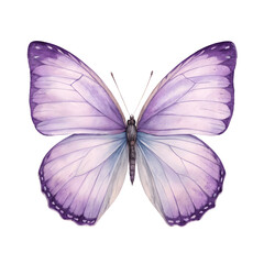 Obraz premium Watercolor butterfly with purple wings isolated on transparent background